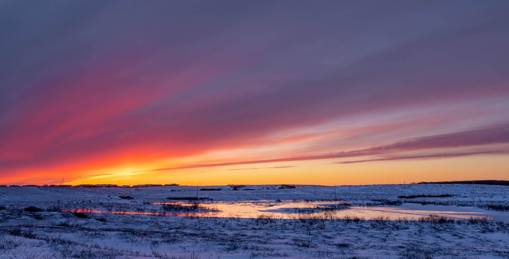 Crucero por alaska a tu medida (2)