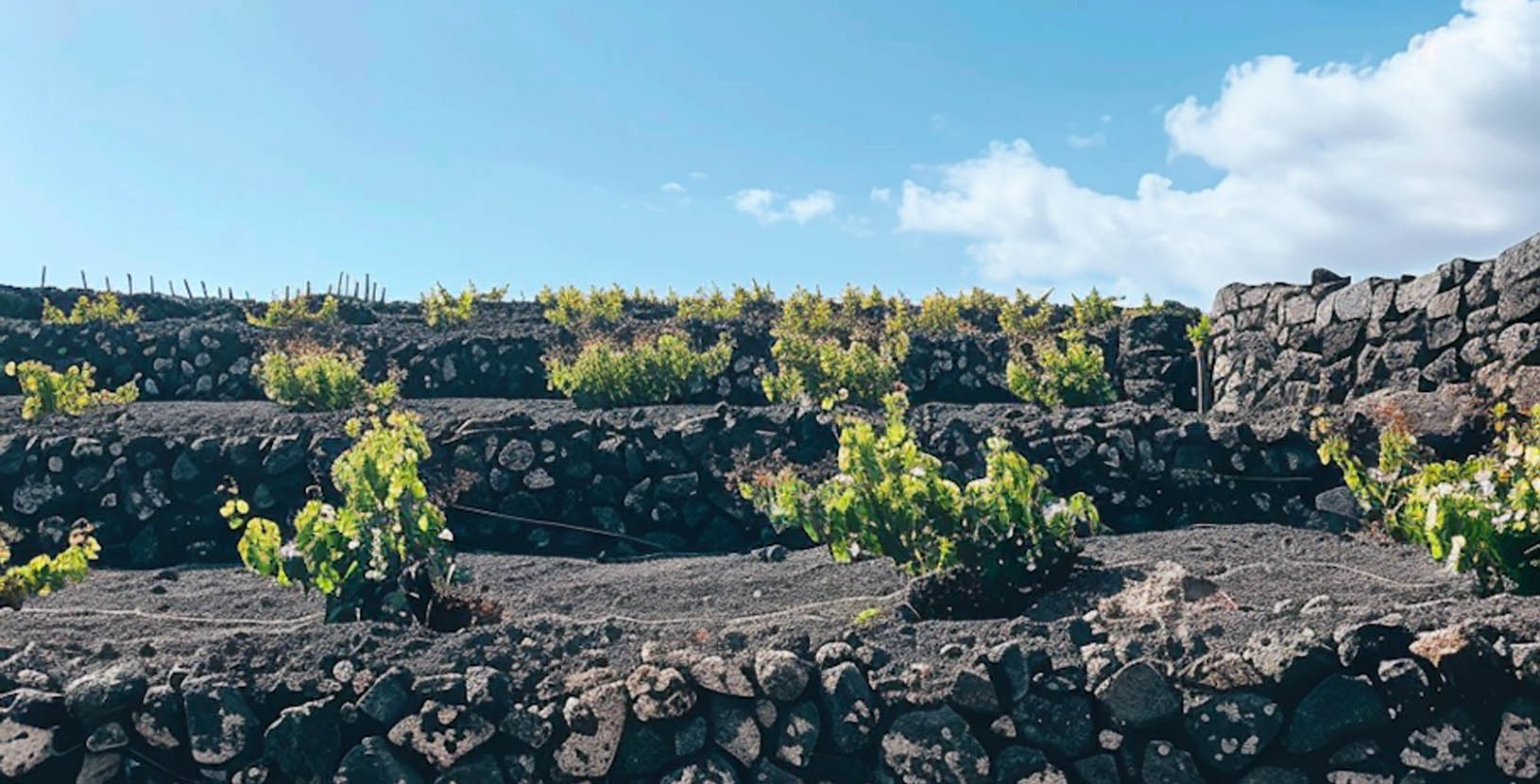 Explora en huasteca potosina (1)_2