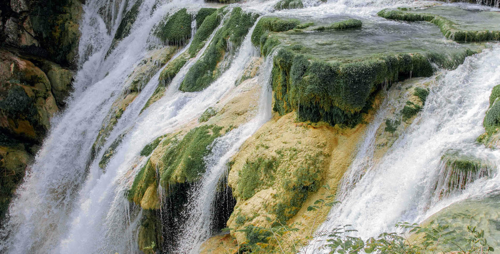 Explora en huasteca potosina (2)