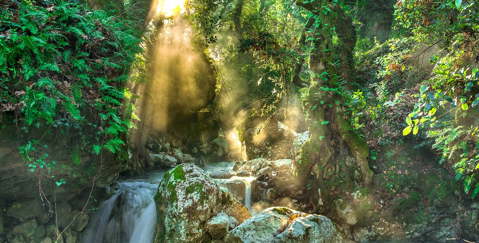 Explora en huasteca potosina (4)