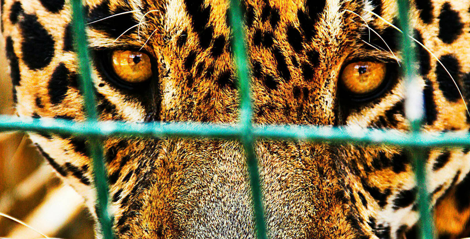 Explora en huasteca potosina (5)