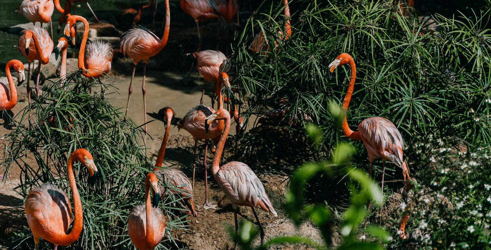 Explora en huasteca potosina (6)