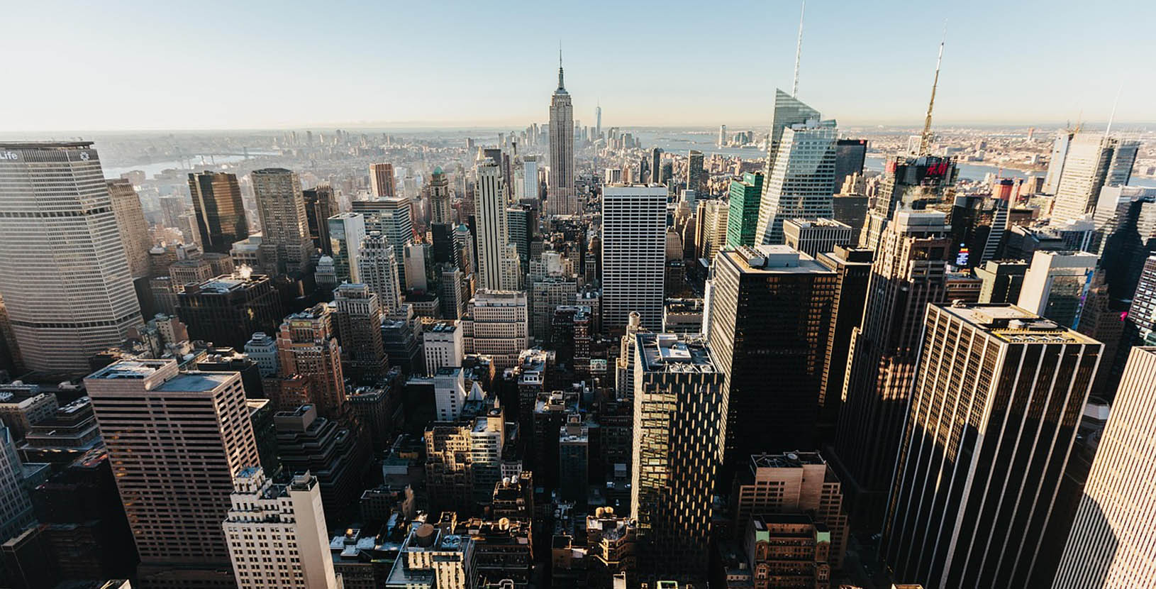 Liderando nueva york (2)