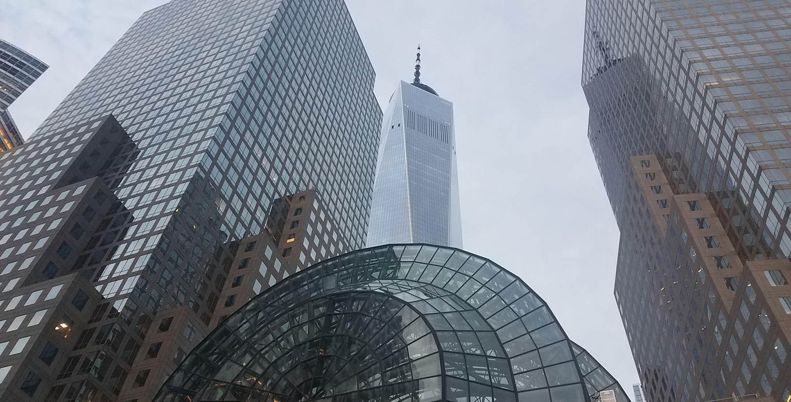 Liderando nueva york (5)