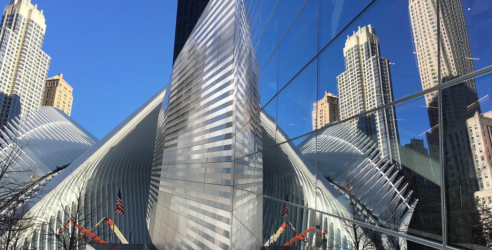 Liderando nueva york (8)