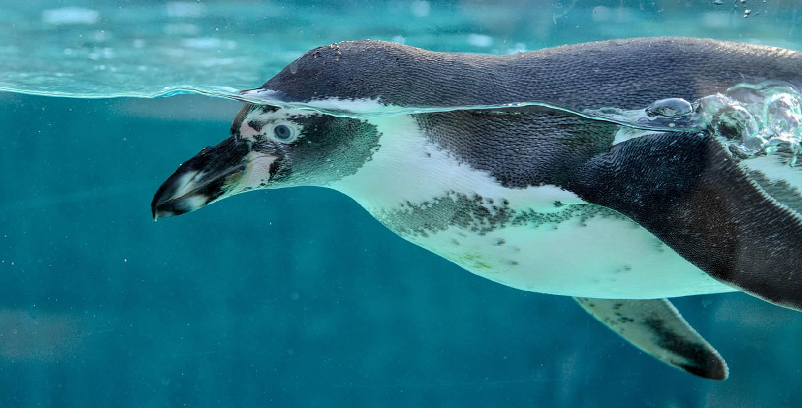 ciudad de mexico (2)