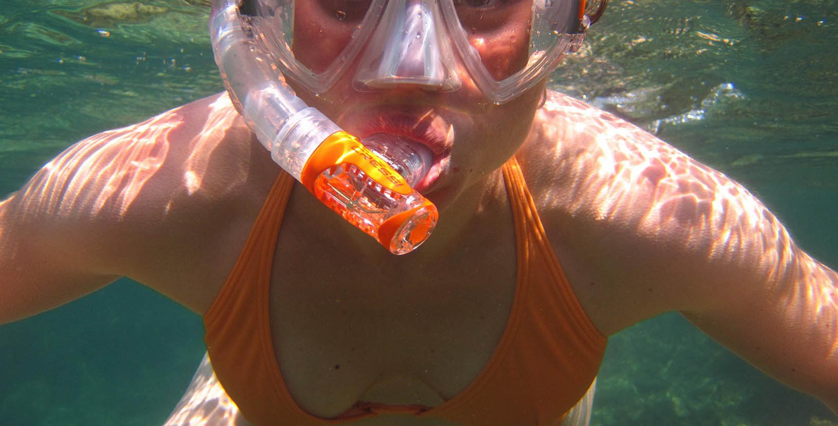 raices de baja california sur (1)