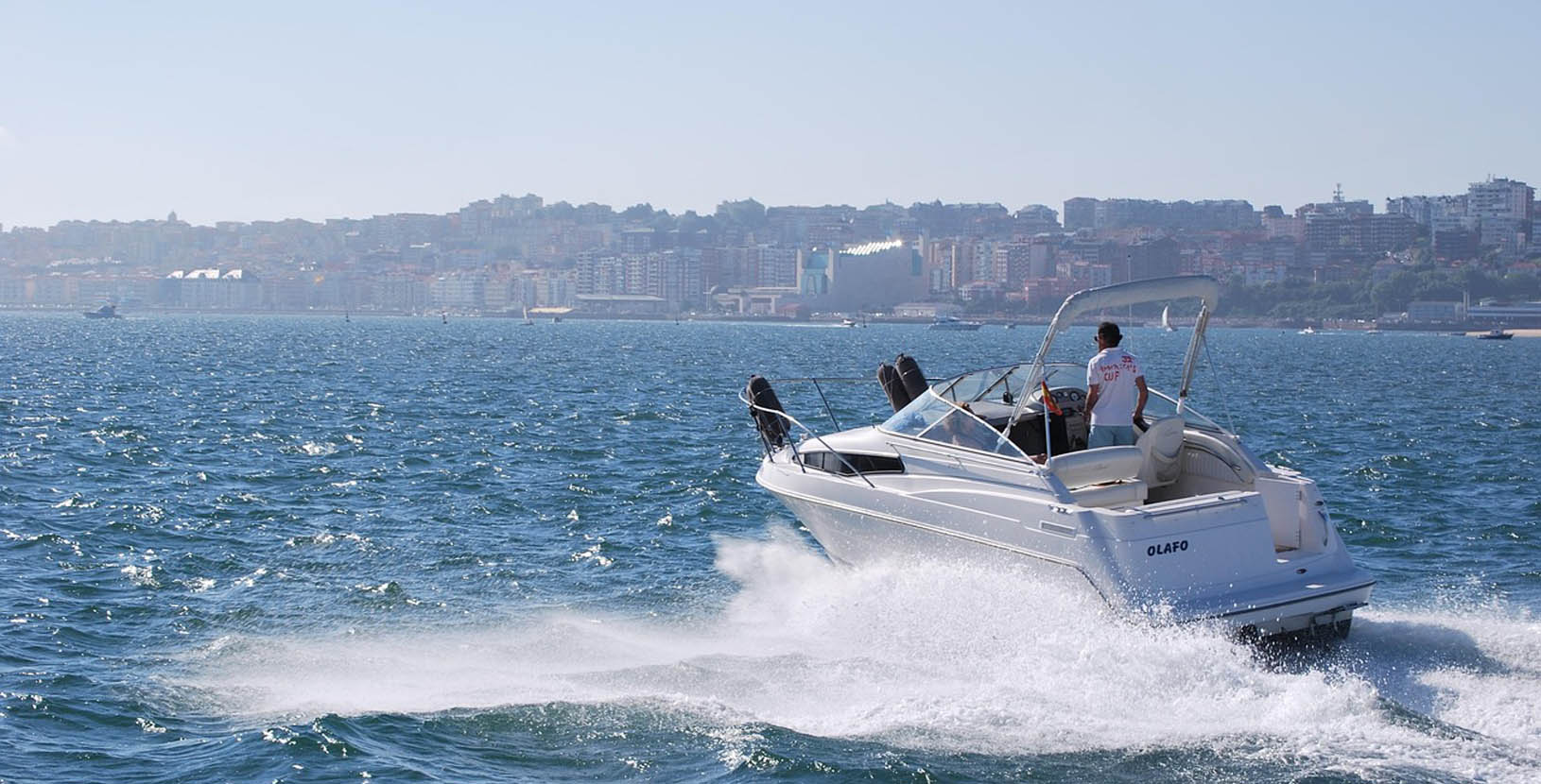 raices de baja california sur (2)