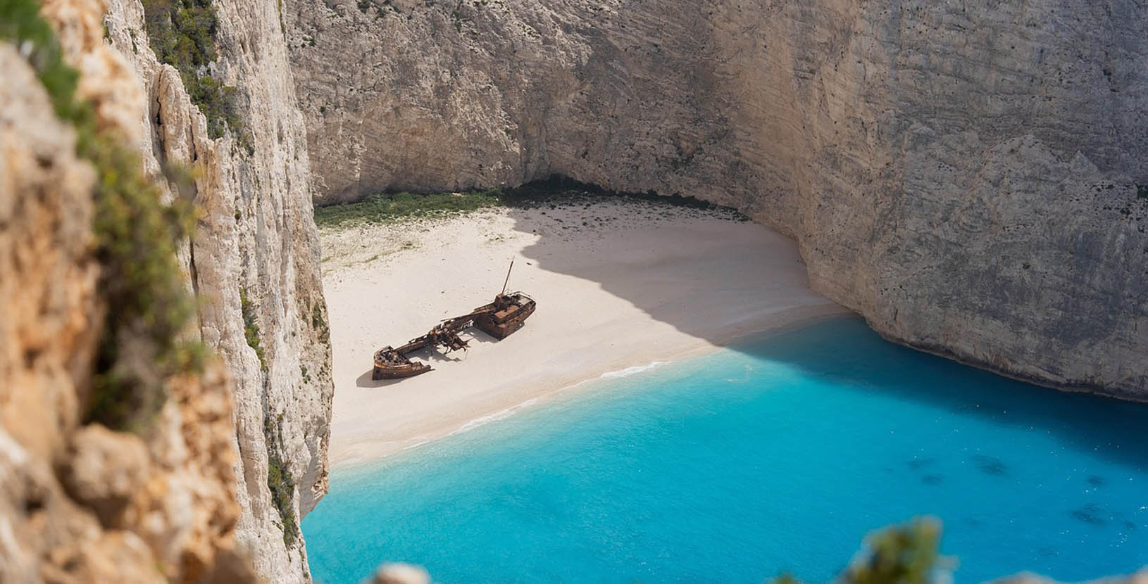 raices de baja california sur (4)