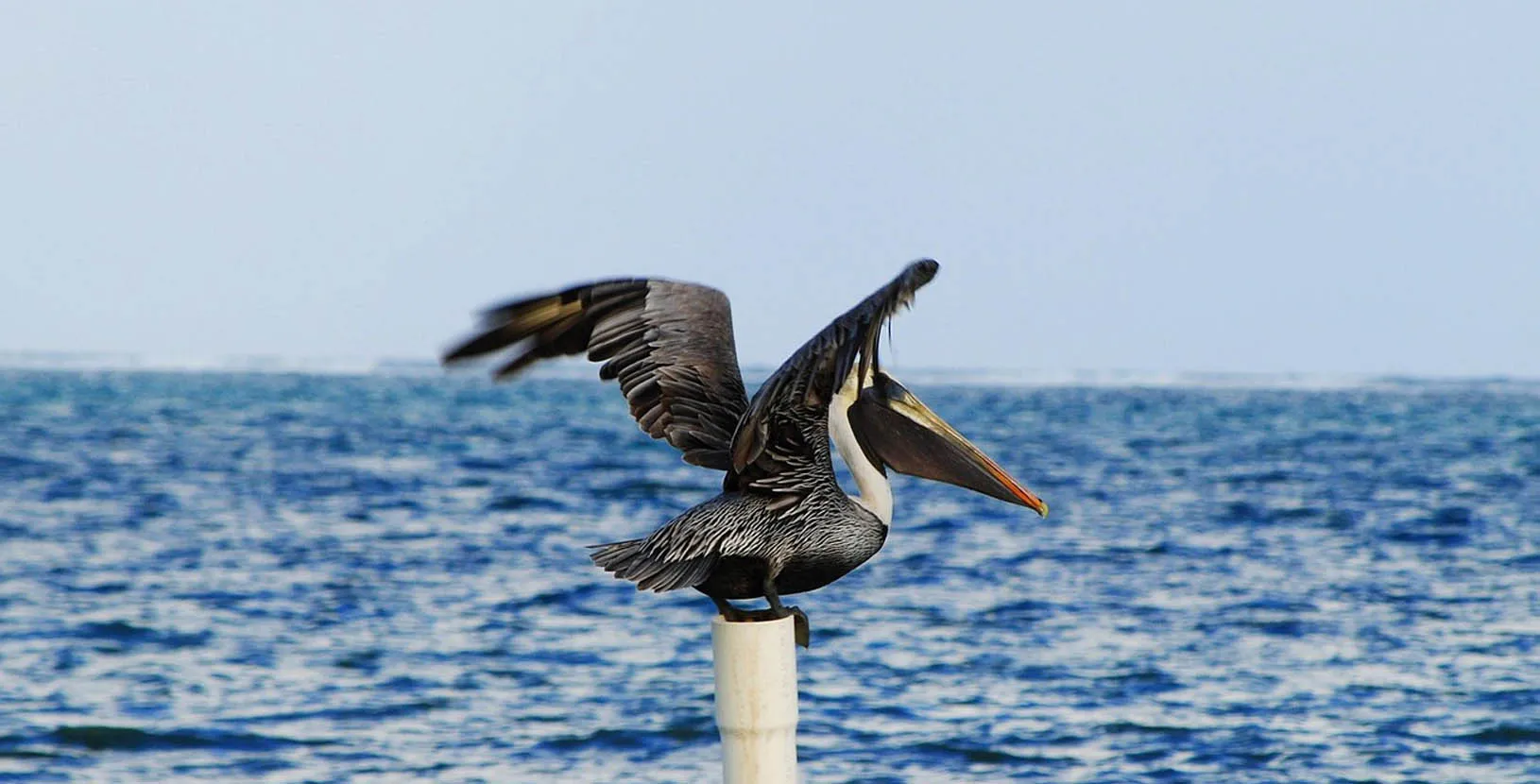 belice con identidad (8)