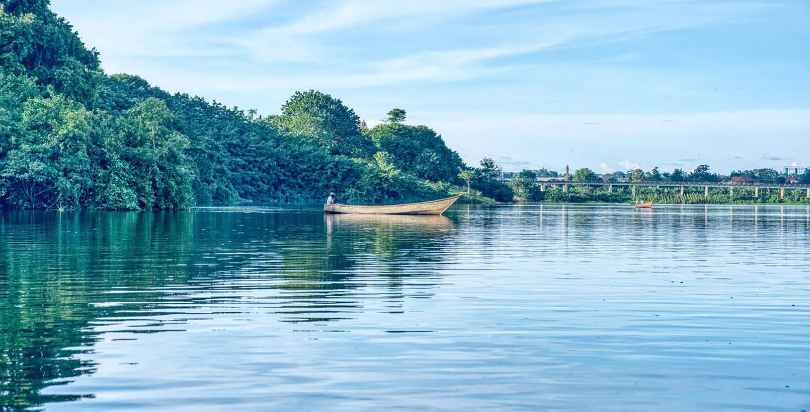 gorilas en Uganda (3)