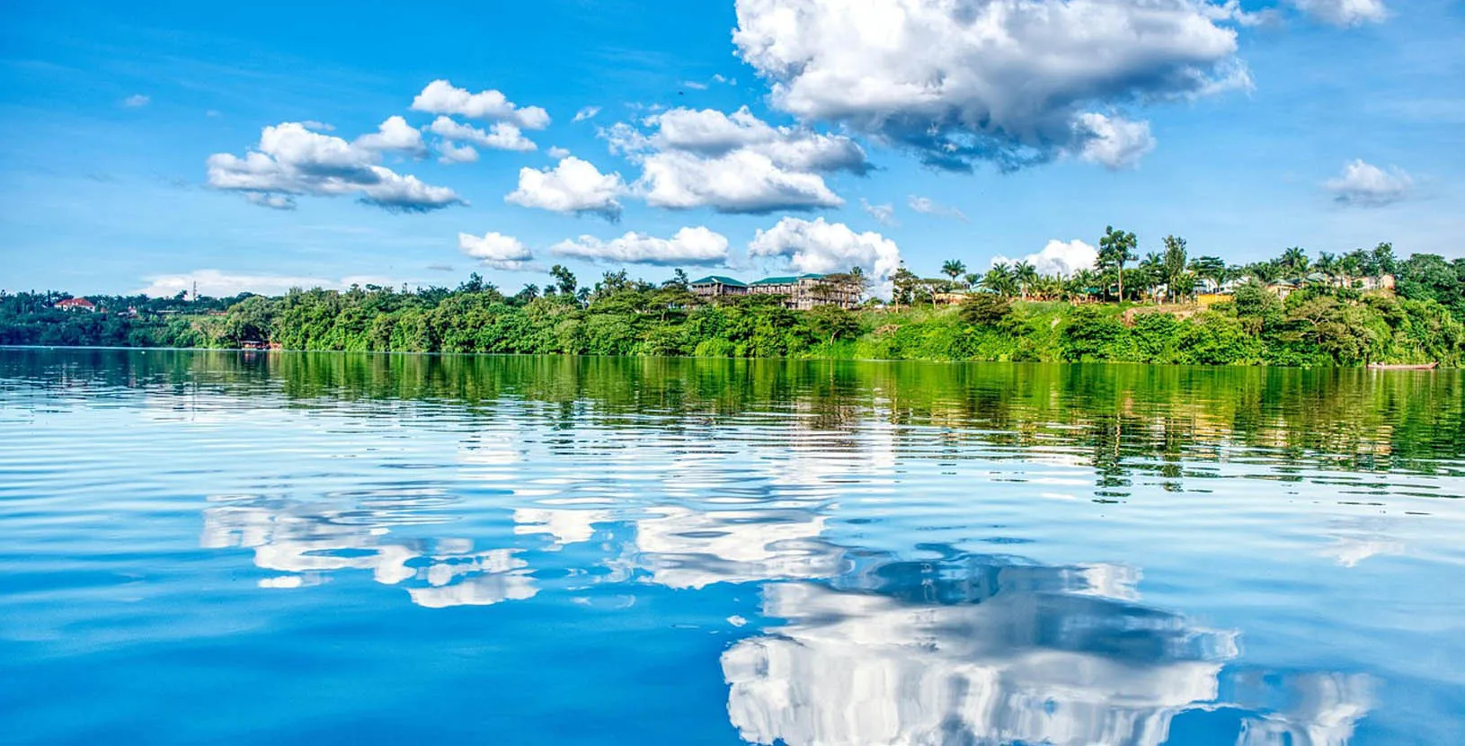 gorilas en Uganda (8)