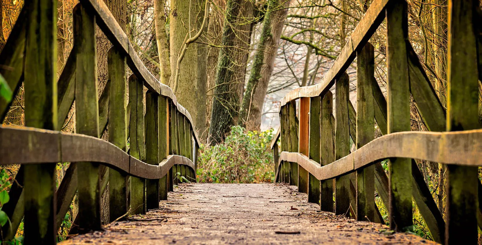 japon en comunidad (5)