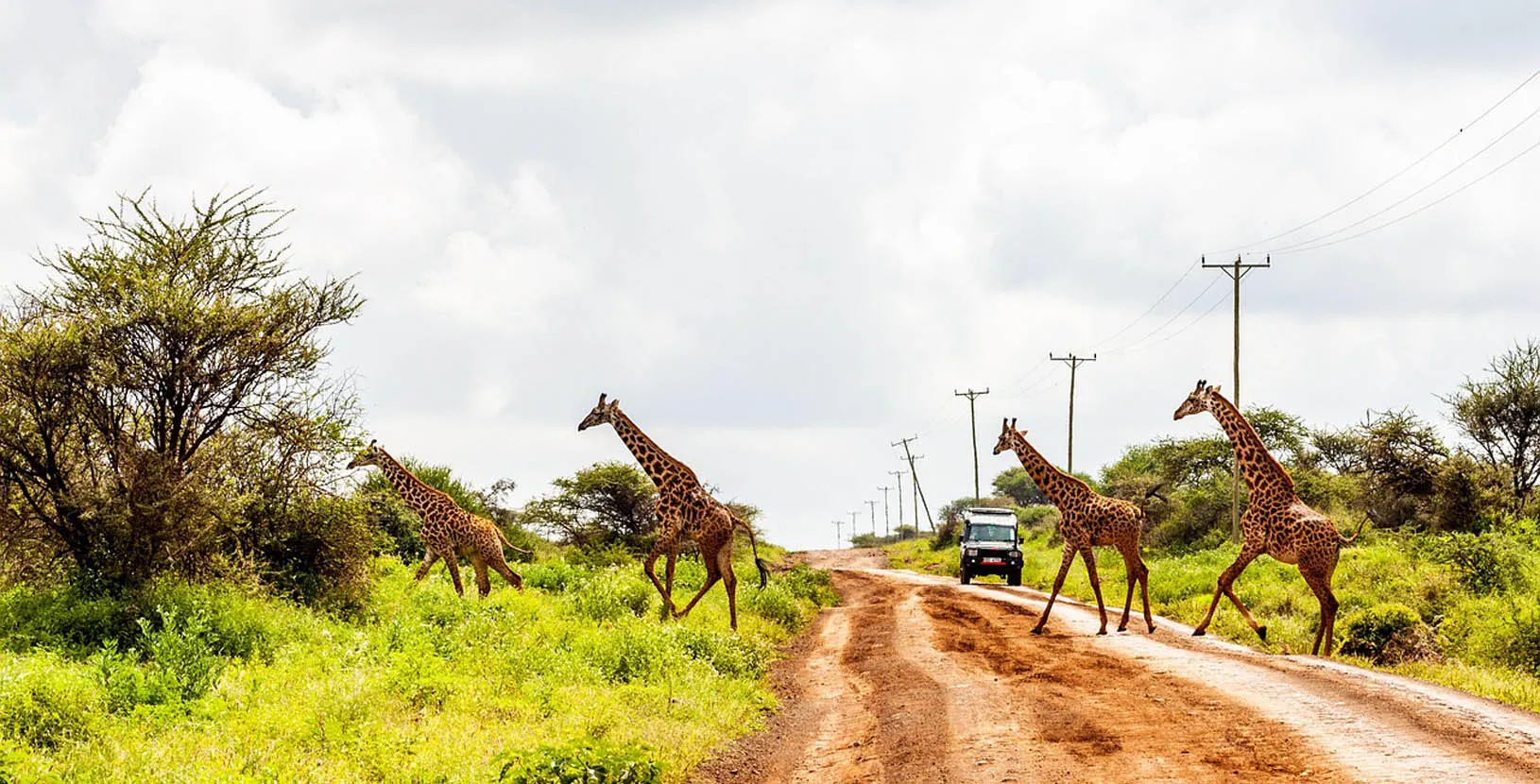 kenia y tanzania (4)