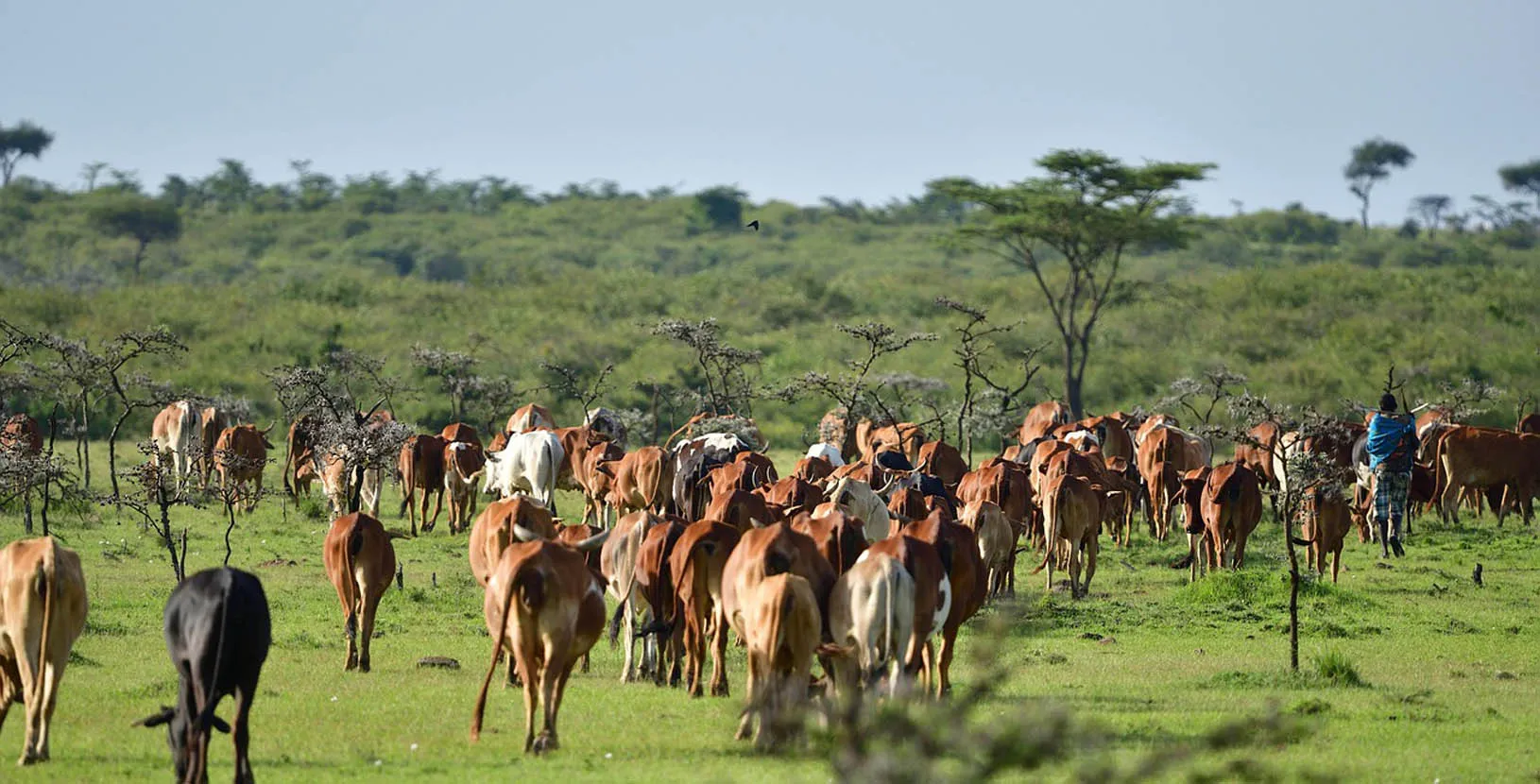 kenia y tanzania (5)