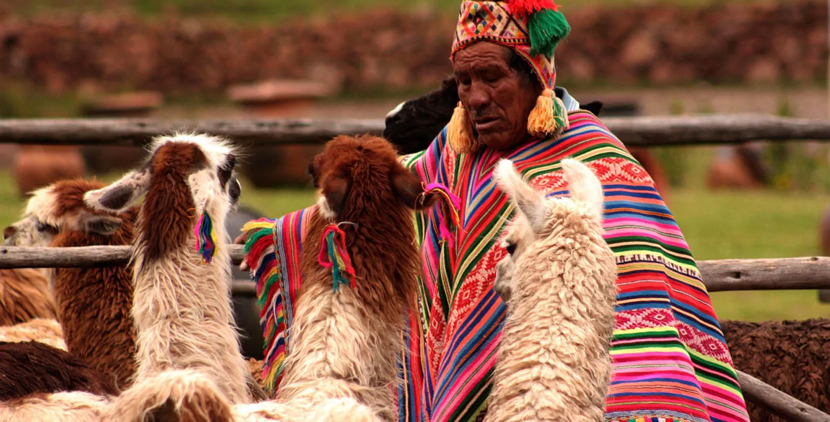 machu picchu sin fronteras (1)