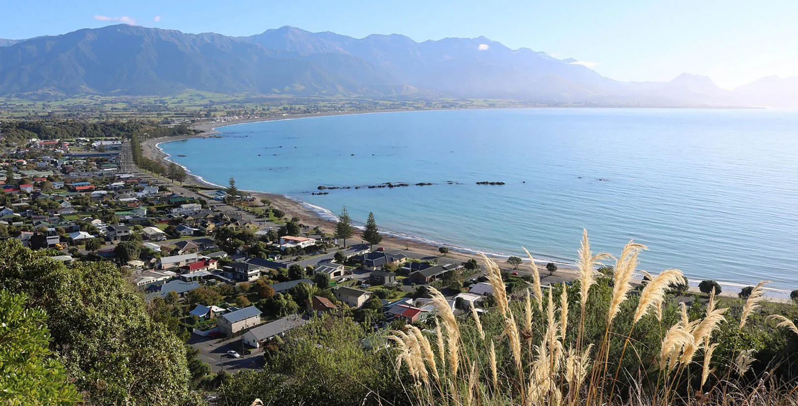nueva zelanda en libertad (1)