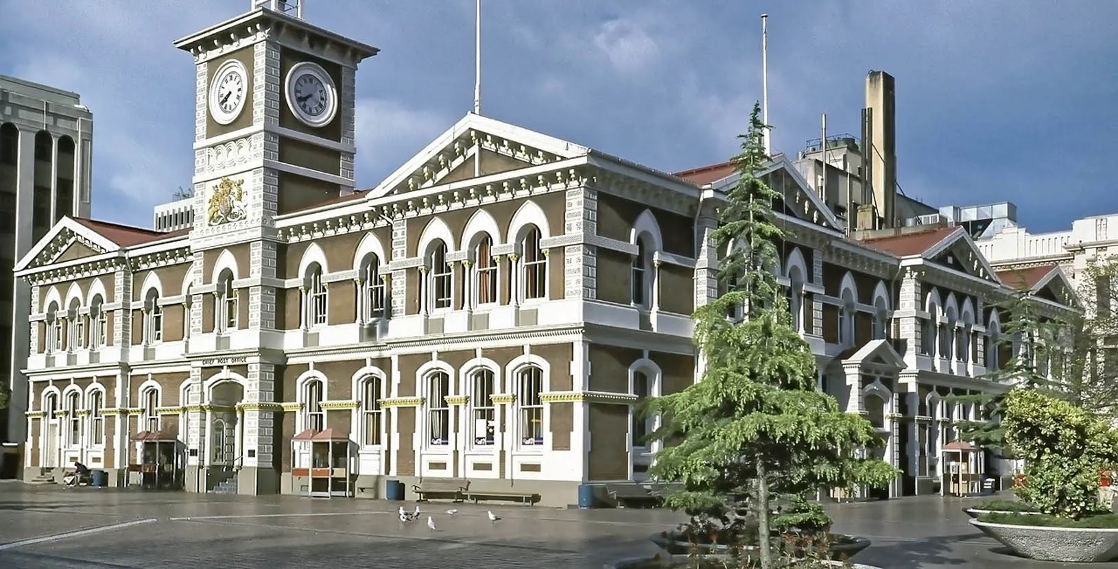 nueva zelanda en libertad (10)