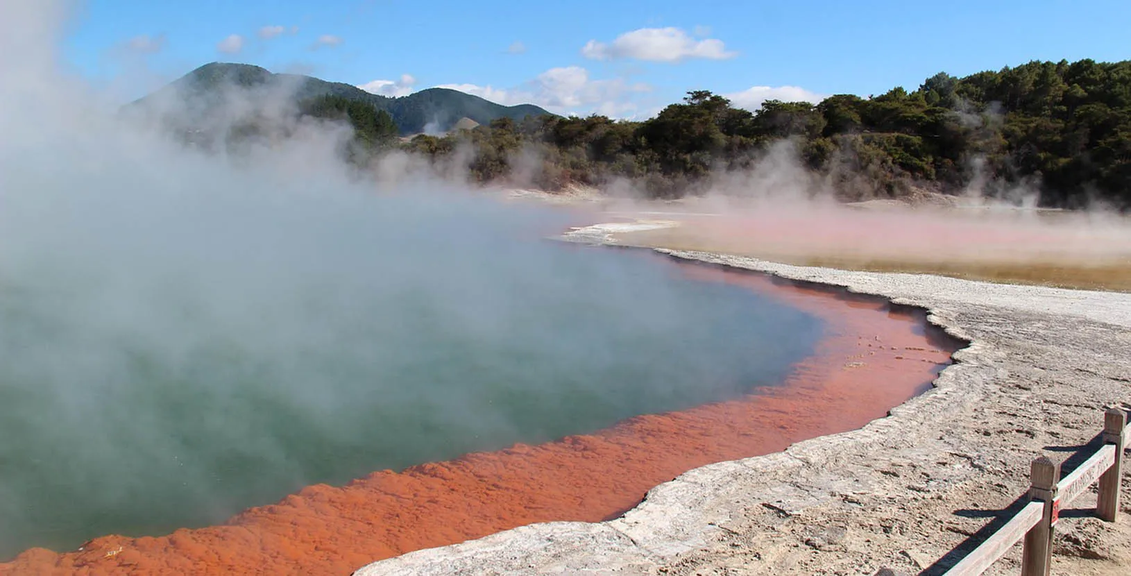 nueva zelanda en libertad (2)