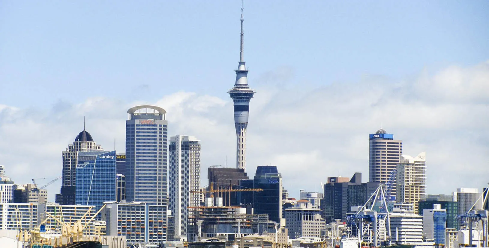 nueva zelanda en libertad (3)