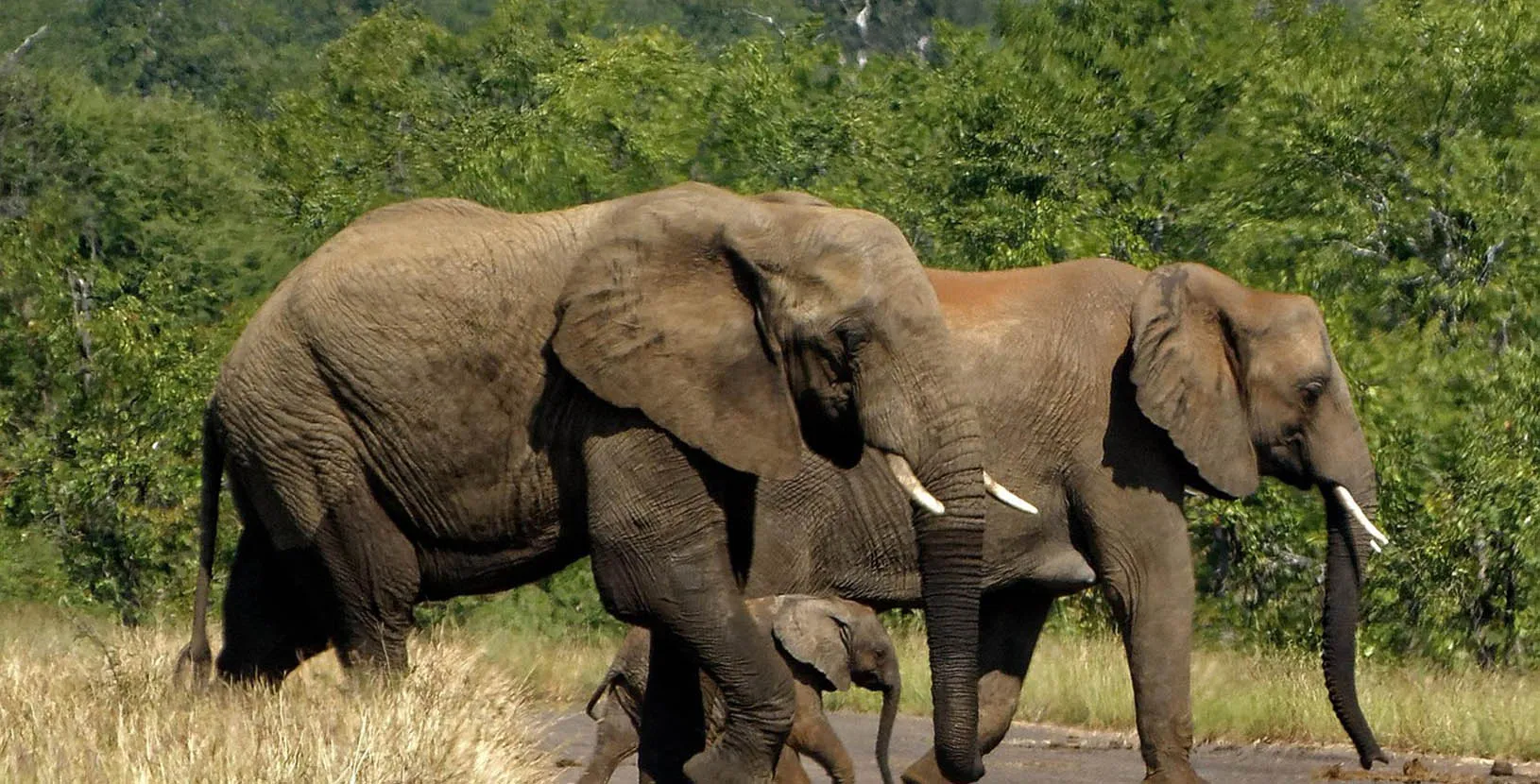 sur de africa en grande (4)