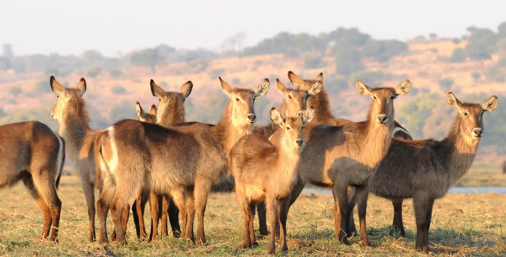 sur de africa en grande (7)