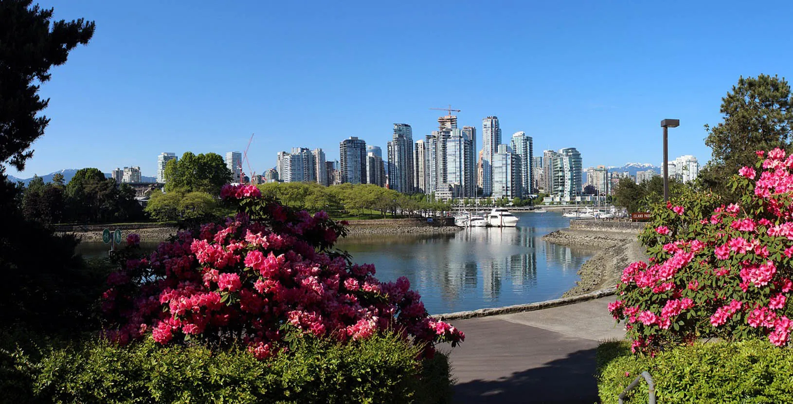 whistler con esencia de invierno (2)