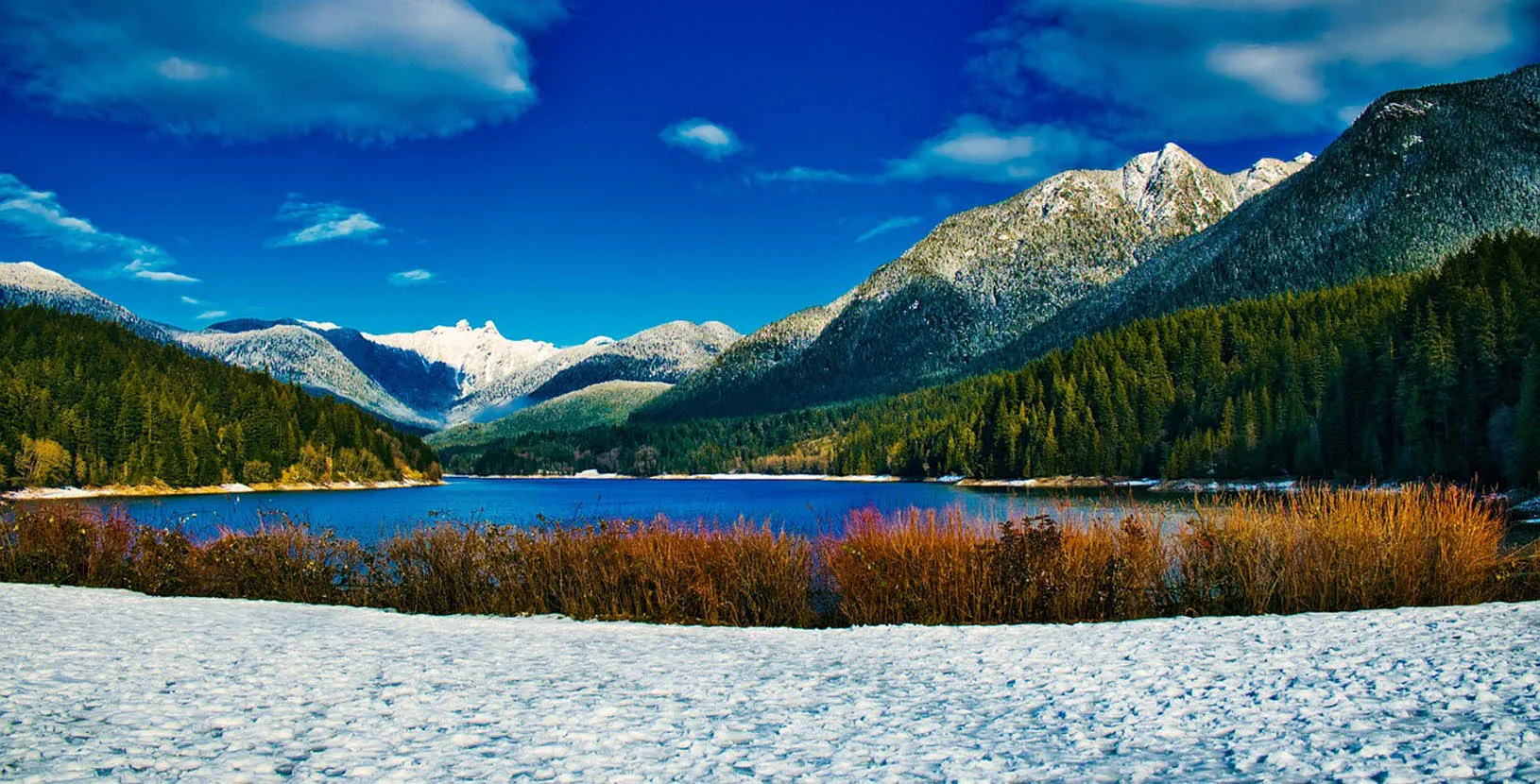 whistler con esencia de invierno (7)