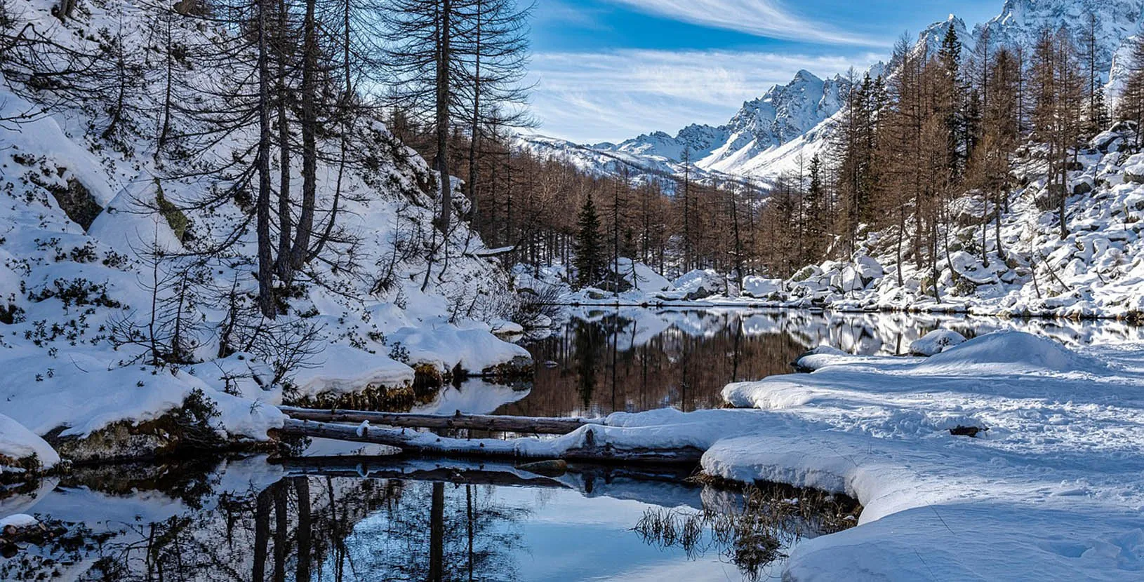 whistler con esencia de invierno (8)